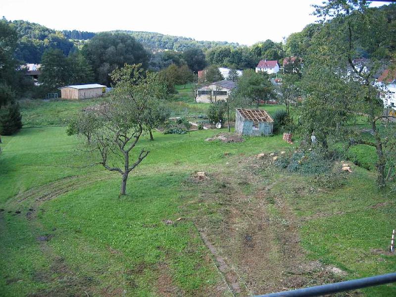 03.JPG - After the trees were removed the yard looked like a war zone.