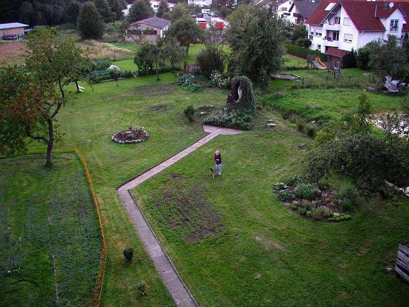 06.JPG - After two years there was beginning to be some semblance of order.