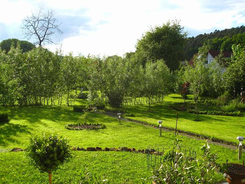 07.JPG - Eight years later the yard and gardens are taking on a park-like beauty.